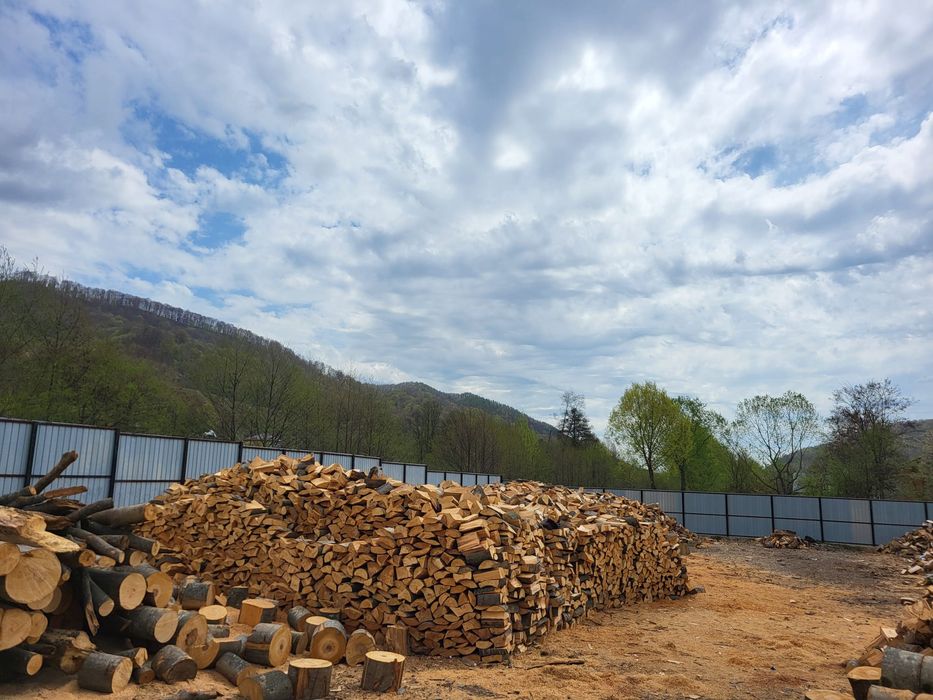 Vand lemn foc de fag