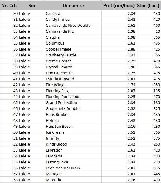 Bulbi de lalele, narcise. Lichidari de stoc. Preturi engros.