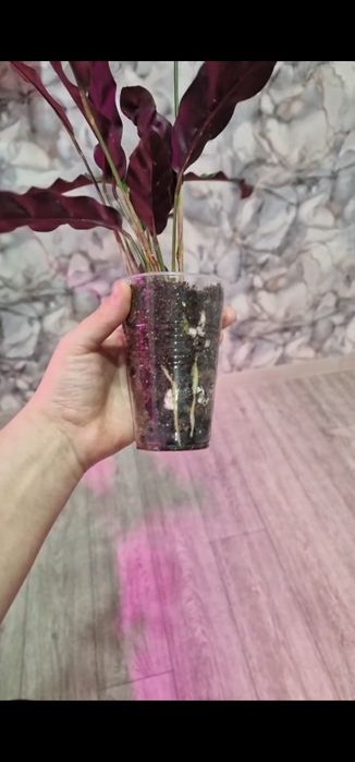 Грунт для комнатных цветов