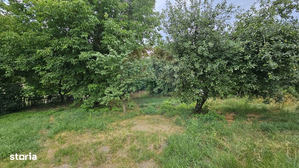 Teren intravilan 2,036mp Pădureni-Șendriceni, Botoșani