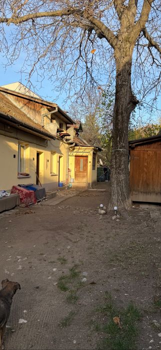 Casa de vanzare /inchiriat