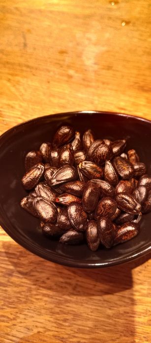 Продавам семена от черимоя