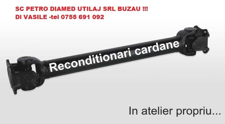 SC PETRO DIAMED BUZAU Cardane de orice tip reparatii si echilibrari