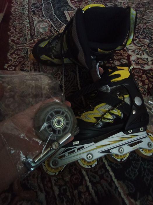 Coguar roliklar yangi 7-8 marta kiyingan