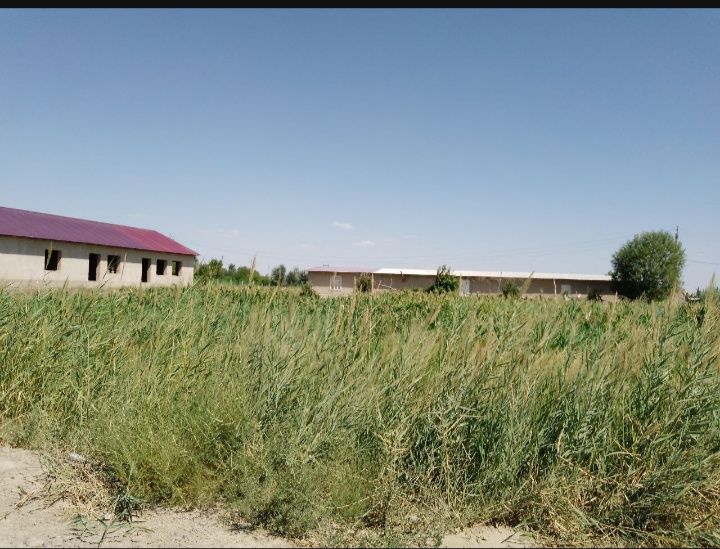 Olotda Yer sotiladi 17.5 sotiq