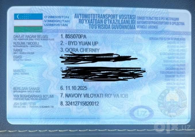 Byd yuan up 34500 км
