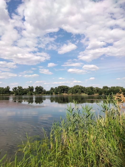 Продам дачу 7,5 соток (Спмк-1)