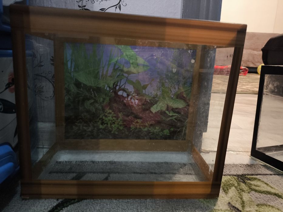 Аквариум 10,10,8.20 литровые