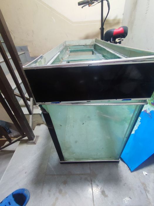 Akvarium baliq uchun