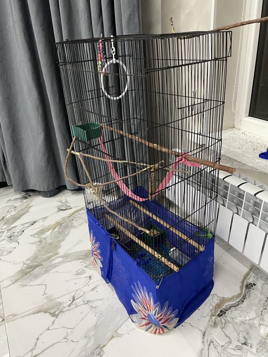 Продам попугаев,парочка