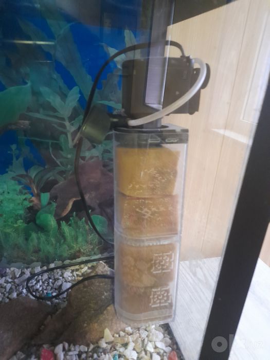 Akvarium 150 litr kaplekt xammnarsalri bn sotiladi