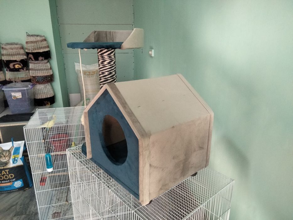 Для Котов и Кошек