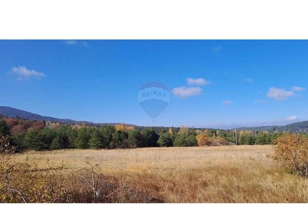 Продава се Парцел в Батак - 9309 кв.м за 2296 €/кв.м - Снимка #9