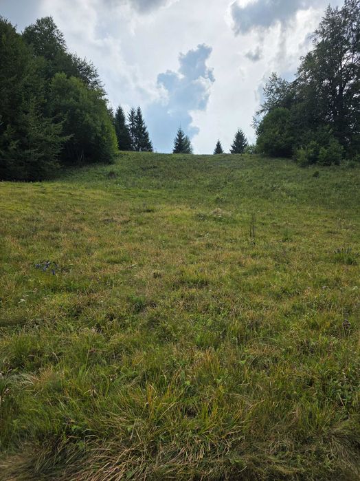 Vânzare teren intravilan la munte, Cătun Alunu, Lacul Drăgan (Cluj)
