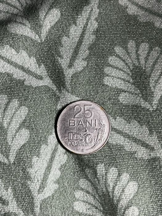 25 bani din 1966