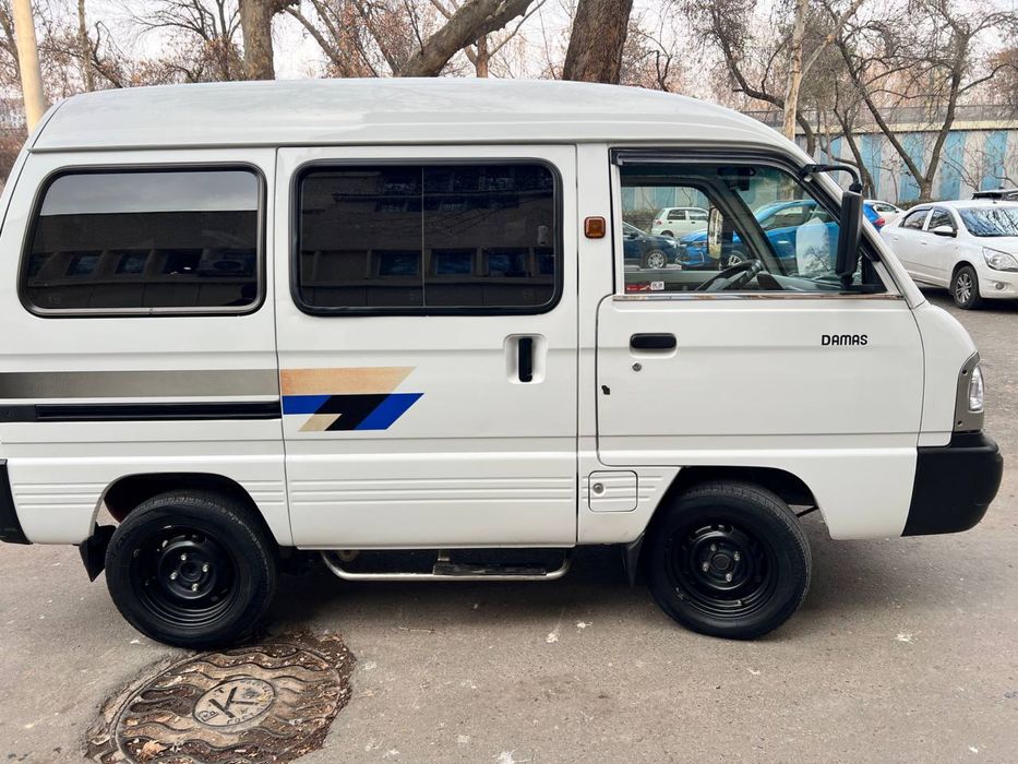 Damas 2023 Гази бор