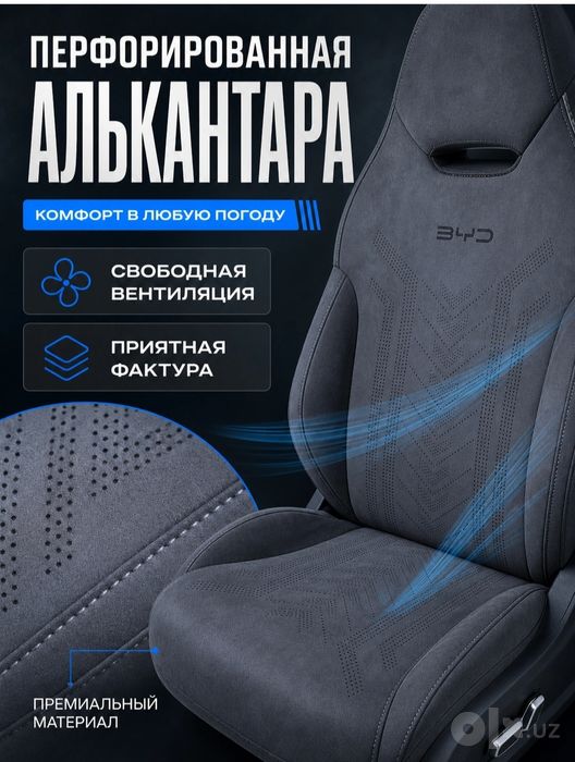 Byd chempion Song plus ga original alikantara sidena chihol
