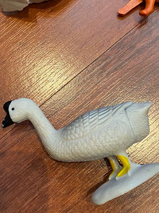 Коллекция домашних животных