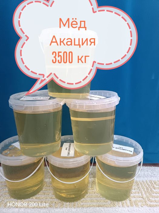 Натуральный мёд алтайский.