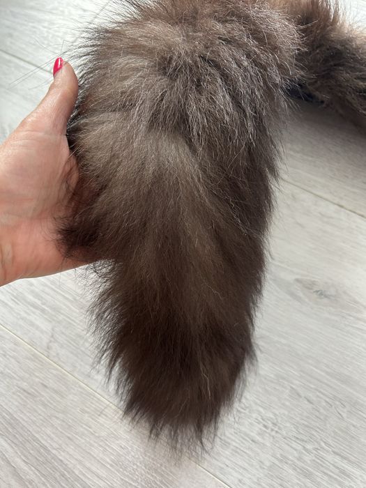 Едтествена Яка от лисица