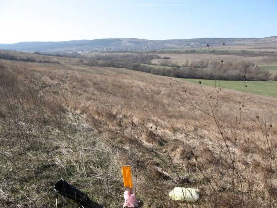 Продава се Земеделски имот в с. Осеново, Област Варна -  кв.м за 6375 €/дка - Снимка #7