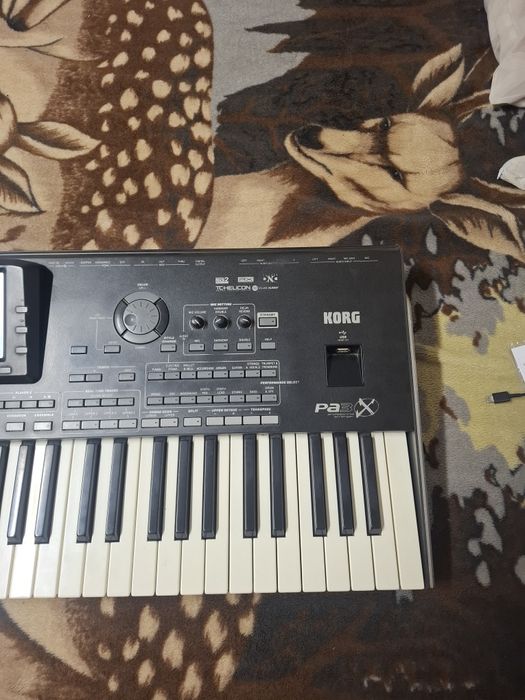 Korg pa 3x 256 RAM