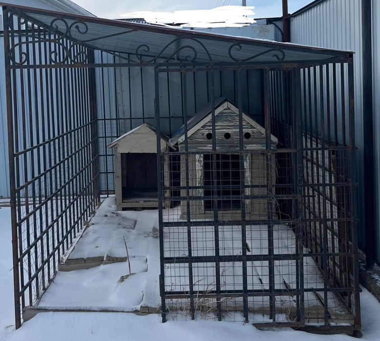 Вольер для собаки