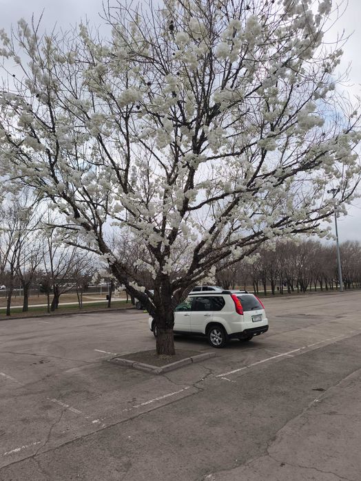 Продам авто в аварийном состоянни