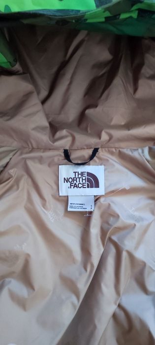 The North Face Printed DryVent  Mountain Parka Mens