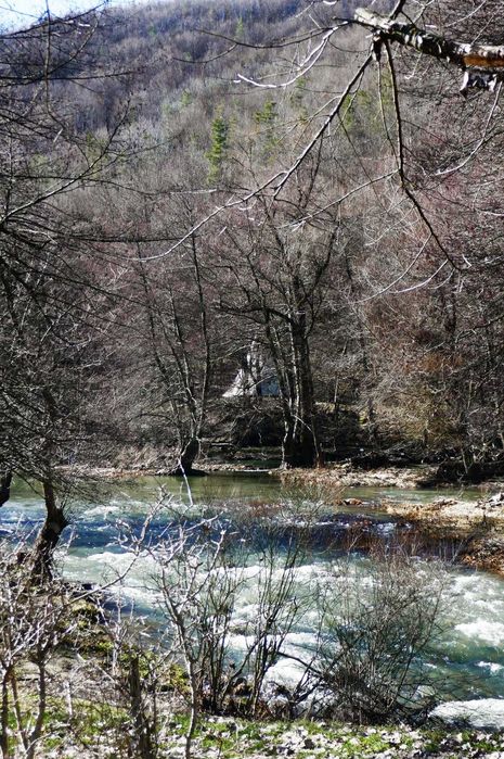 Продава се Земеделски имот в с. Стеврек, Област Търговище -  кв.м за 1980 €/дка - Снимка #6