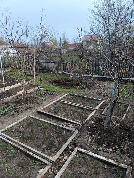 Продам дачу в СО "Химик"