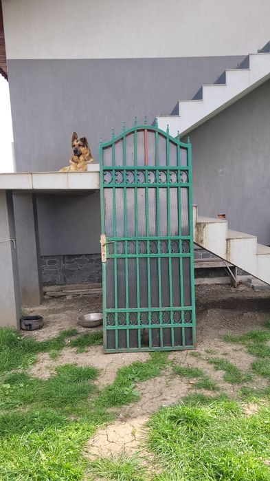 Poarta metalica acces .