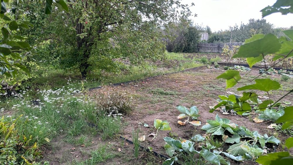 Продам дачу сад здоровье.