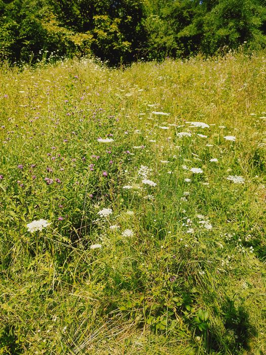 De vânzare teren intravilan – 2.500 mp ,15 euro mp,sat Ulmețel, Rm.VL