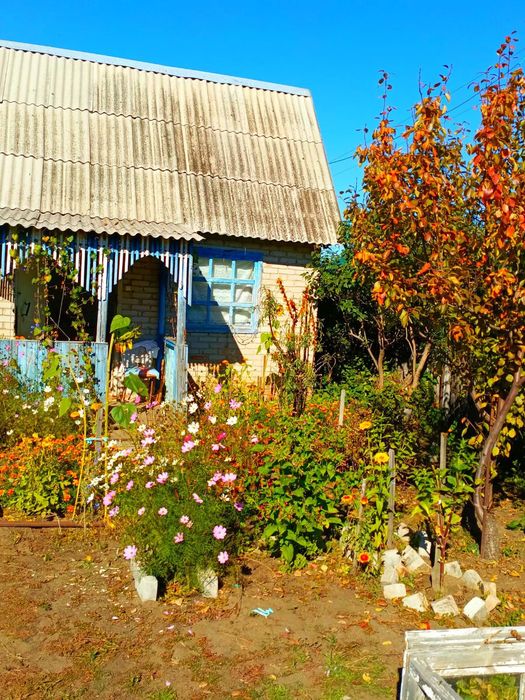 Дача в Мелиораторе