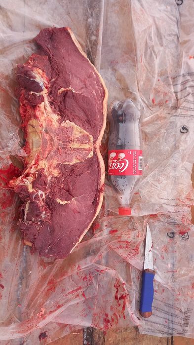 Мясо конины согым