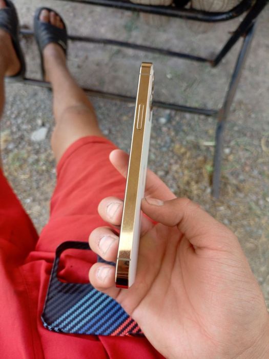 Iphone 12 pro sastayaniya doda