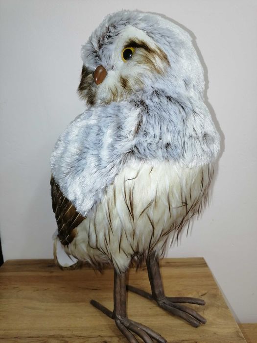 Продам чучело совы