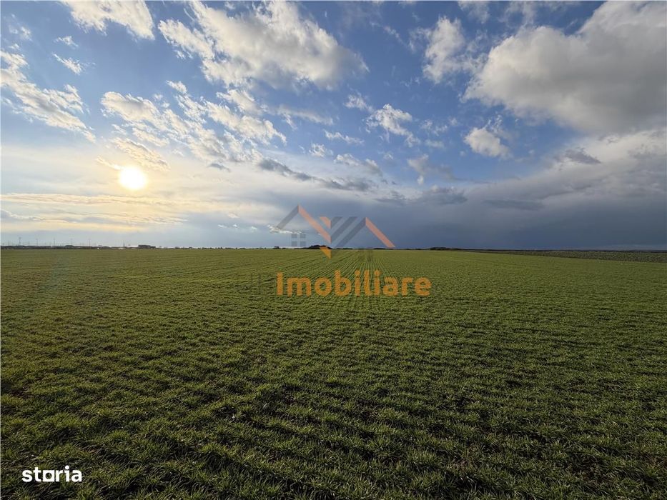 Teren Intravilan 24457 Mp | 80 Ml Front Stradal | Oradea | Bihor