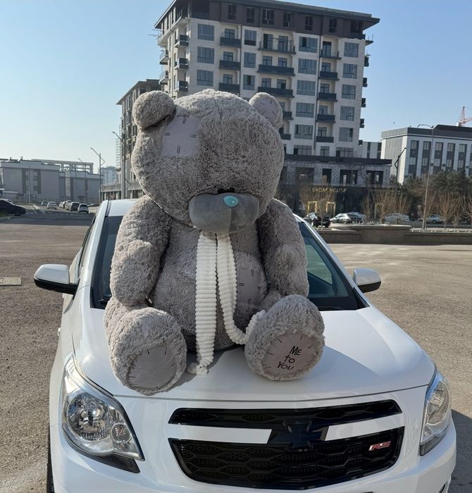 Teddy bear 1.5 metrlik