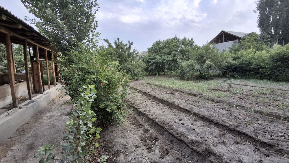 Uchastka sotiladi 12 sotix