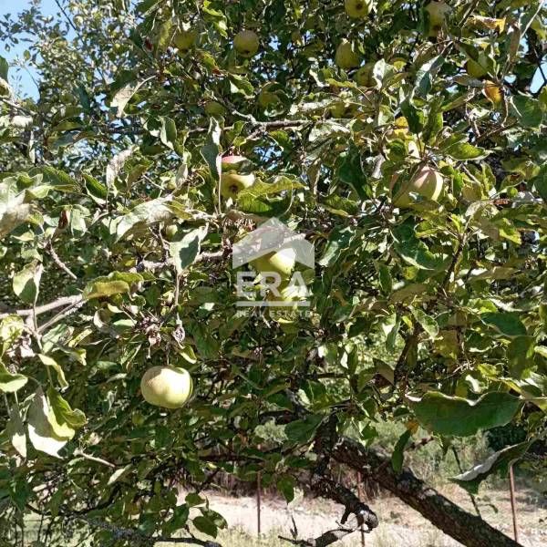 Продава се Къща в София, в.з. Горна баня - 129 кв.м за 2404 €/кв.м - Снимка #11