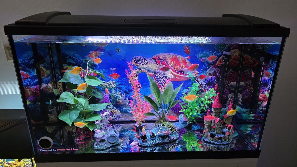 Acvariu Eheim 126 l