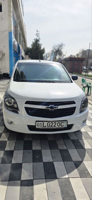 Cobalt midnight srochna