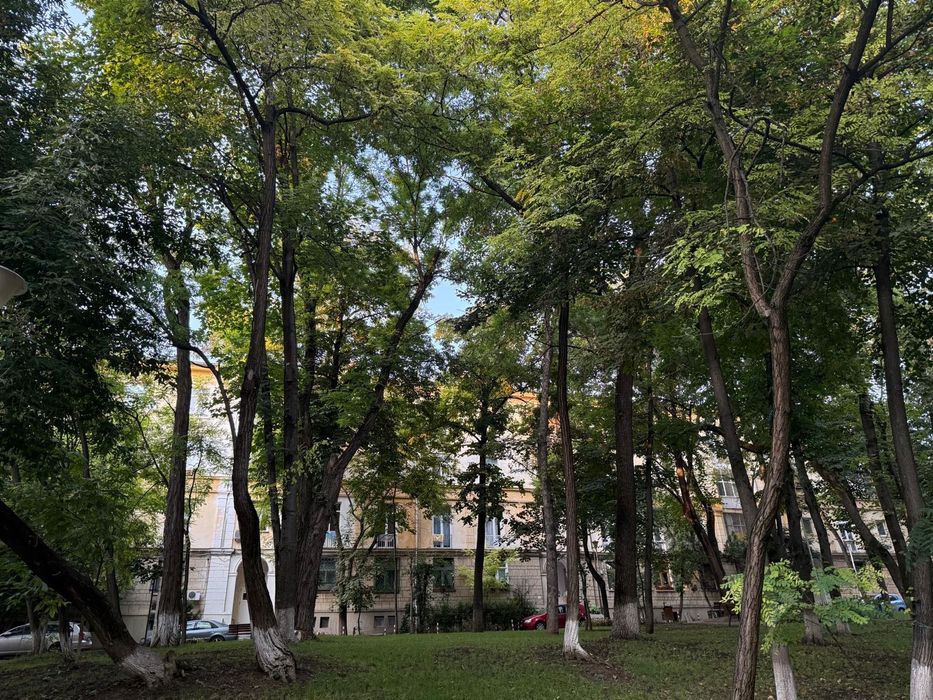 Apartament 2 camere Copou - pentru inchiriat