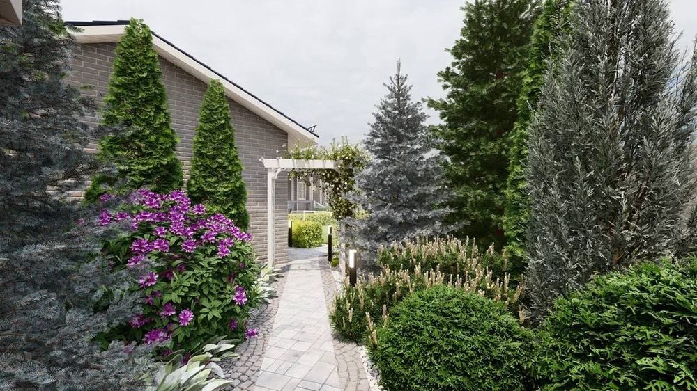 Ideal turdagi manzarali darahtlar