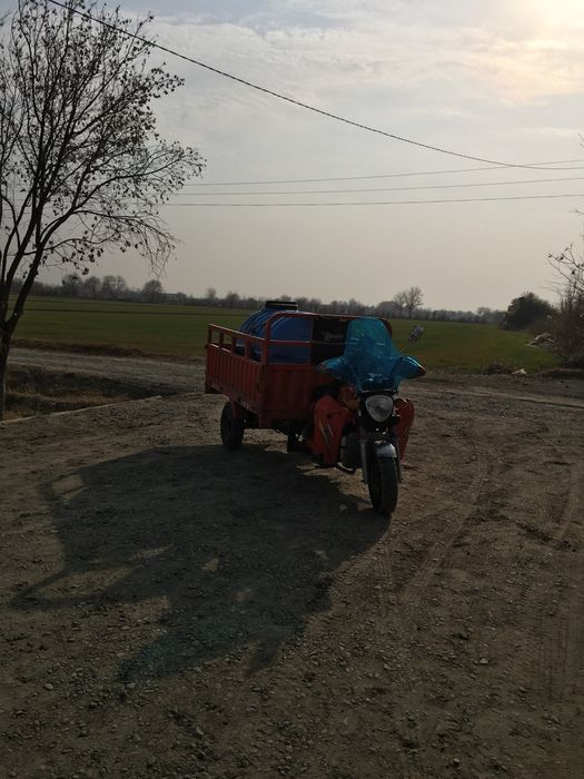 Lochin Moto alo darajada