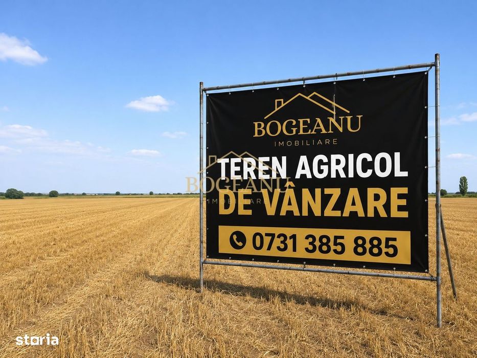 BG185-Teren agricol 6,11 ha Cornești Timis– acces asfalt–14.000 €/ha