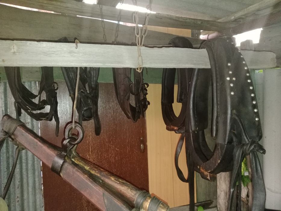 Продам сбрую троешный комплект