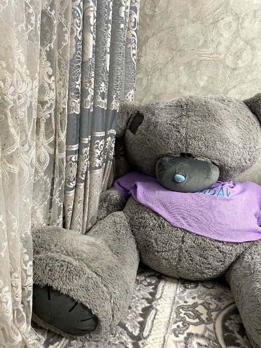 Tediy oyonchog sotladi